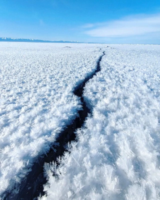 загруженное (1).png